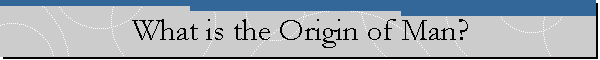 What is the Origin of Man?